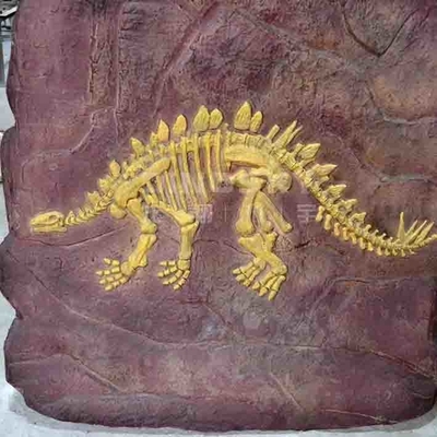 Хандмаде реплики динозавра музея, возраст молодости реплики черепа динозавра