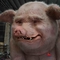 Подгонянный возраст аниматроник реалистических свиней взрослый для торговых центров