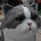 В натуральную величину реалистический аниматронный кот, взаимодействующий говорящий симпатичный кот