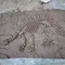 Хандмаде реплики динозавра музея, возраст молодости реплики черепа динозавра
