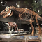 Реплика скелета динозавра погоды упорная/реплики кости динозавра
