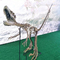 Ископаемое черепа динозавра размера реплики скелета динозавра торгового центра ориентированное на заказчика