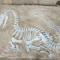 Реплика динозавра в натуральную величину, ископаемое реплики динозавра для хозяйственной деятельности