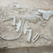 Реплики кости динозавра торгового центра, ископаемые черепа реплики динозавра