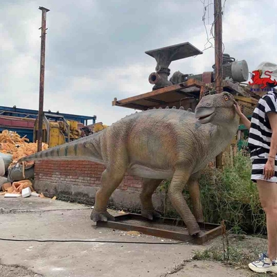 Имя