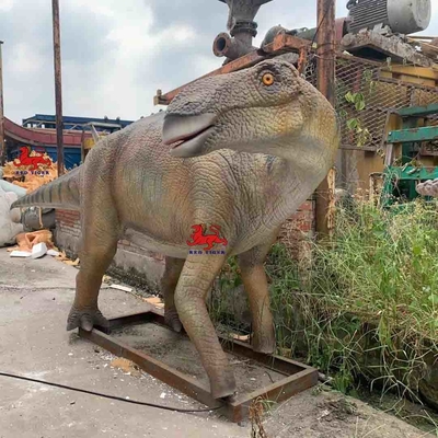 Имя