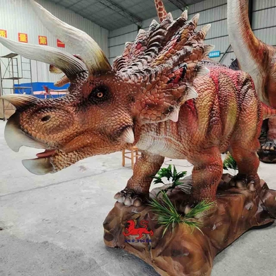 Имя