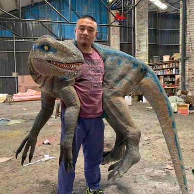 Имя