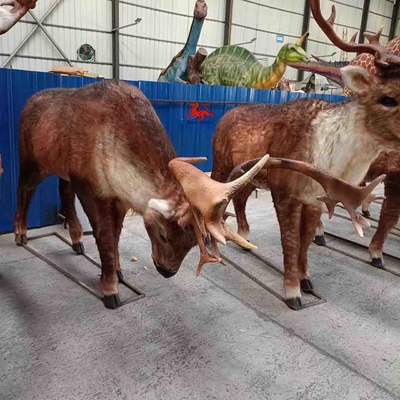 Имя