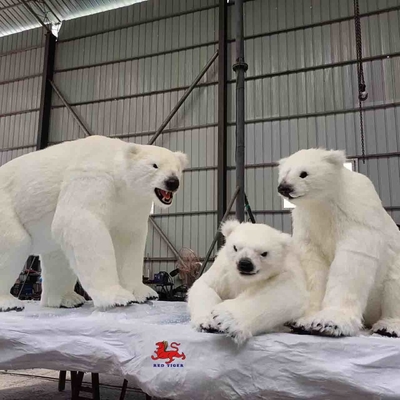 Имя