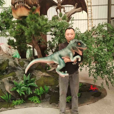 Имя