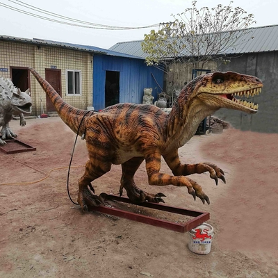 Имя