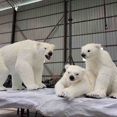 Имя