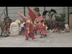 Красный костюм дракона мухы