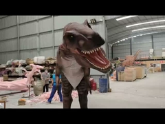 Персонализация Реалистический костюм динозавра Модель кархародонтозавра